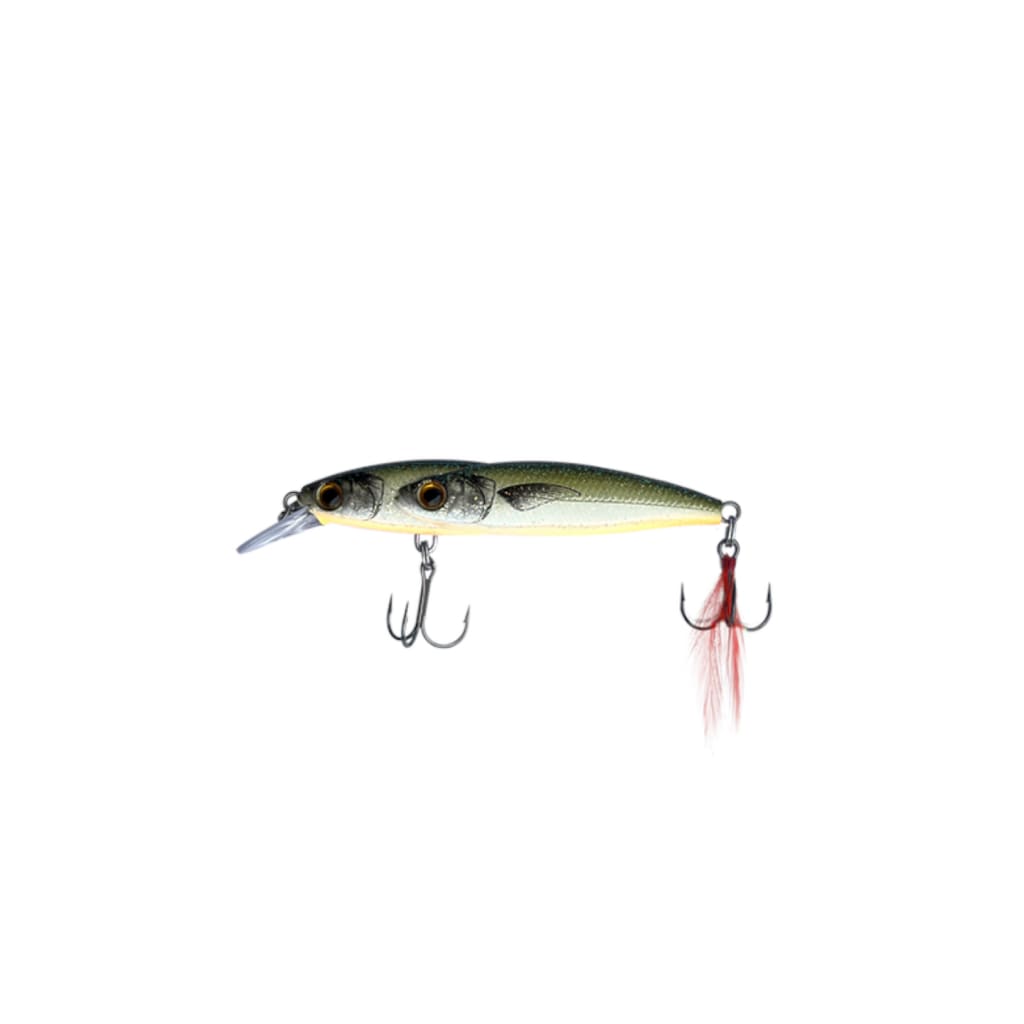 Fishman Ripfin - Olive White
