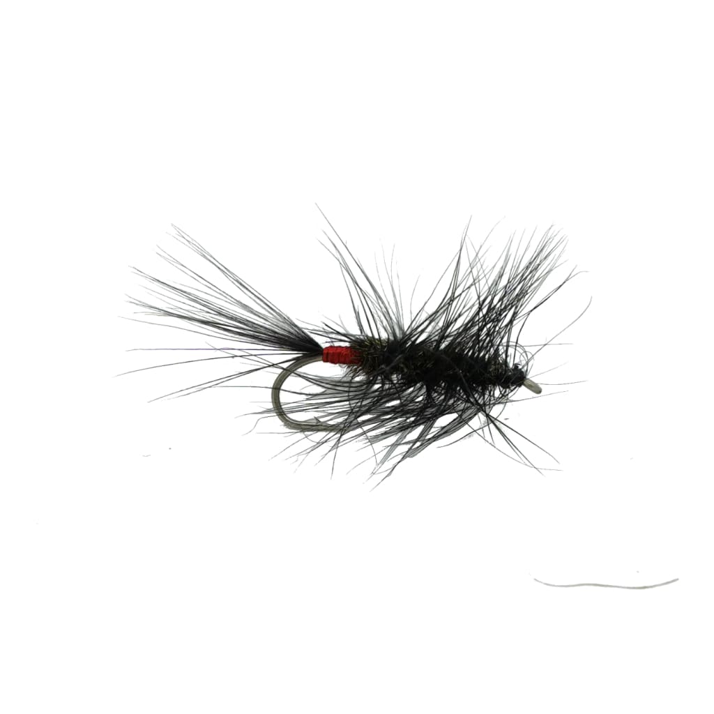 Sci Flies Beams Wolly Worm - Fresh Dries Flies (Fly Fishing)