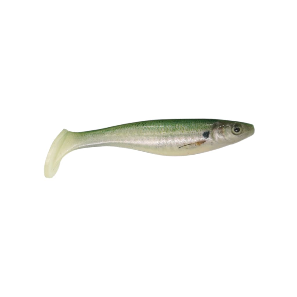 Berkley PowerBait Champ Swimmer - Soft Baits Lures (Freshwater)