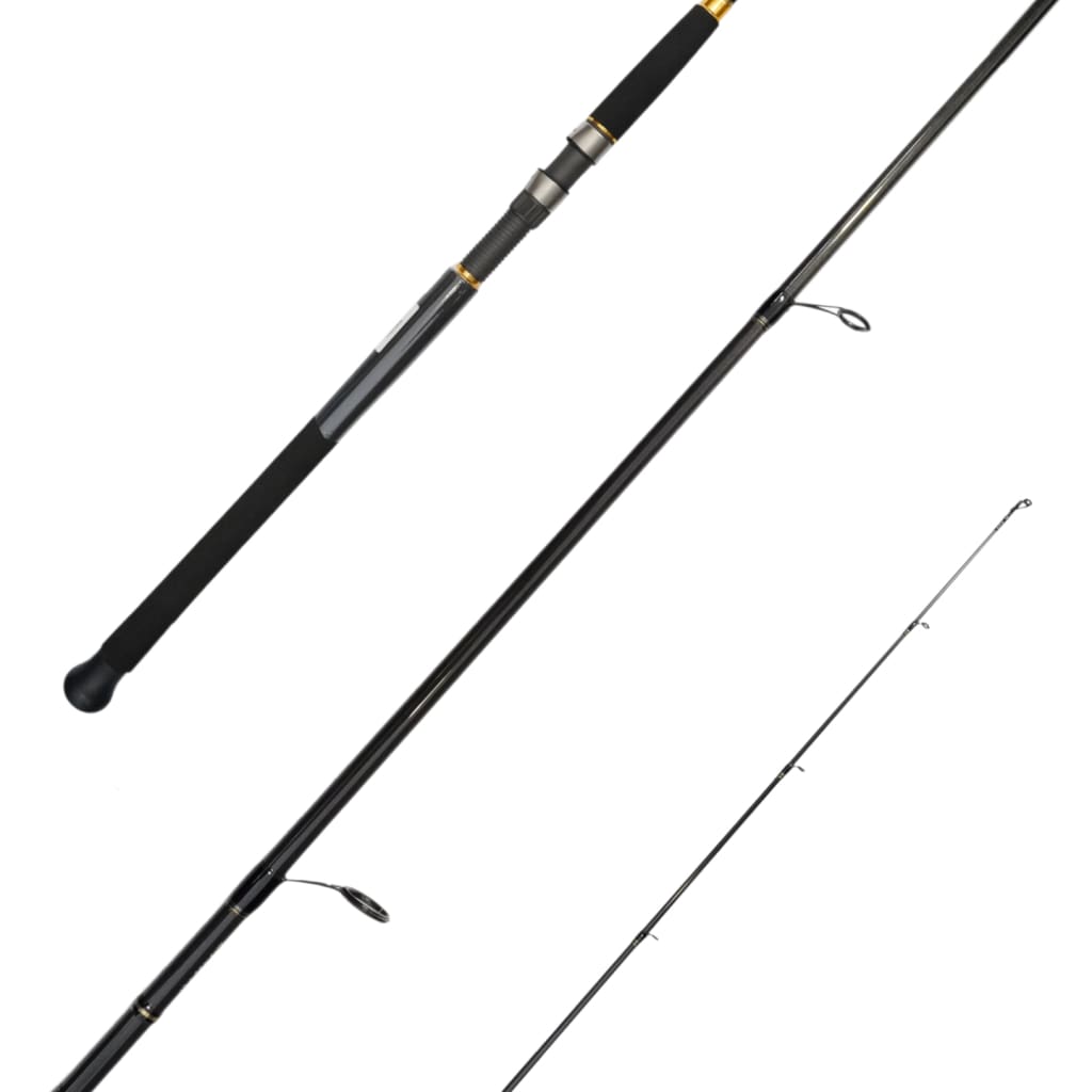 Daiwa BG Power Spin - Rods (Saltwater)