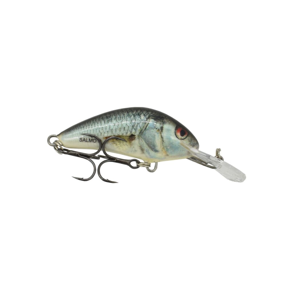 Salmo Hornet Floating 4cm - Real Dace - Hard Baits Lures (Freshwater)