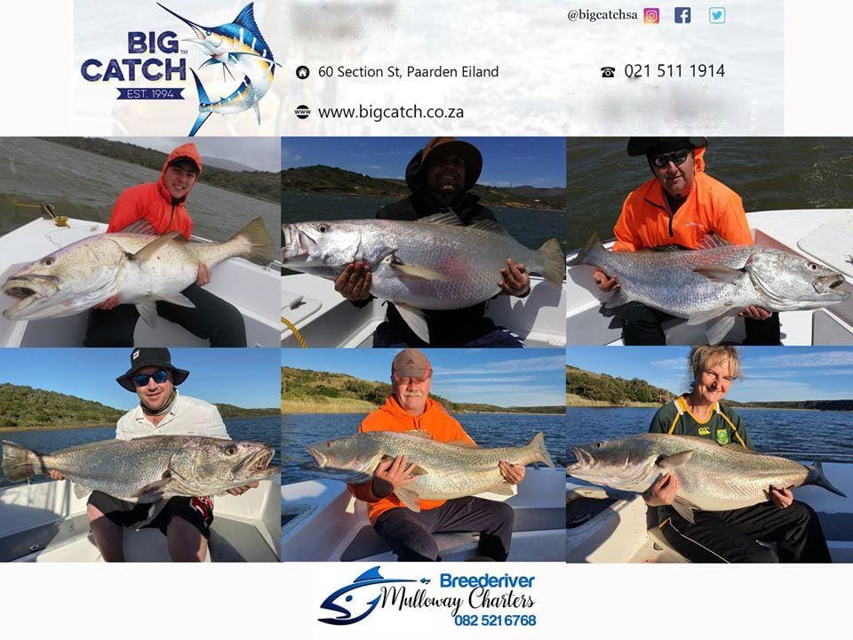 Mulloway Charters from Breede River Stocking Up at Big Catch