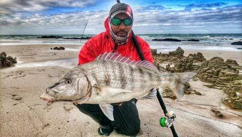 Big Catch Fishing Tackle - Steenbras Fishing - Congrats