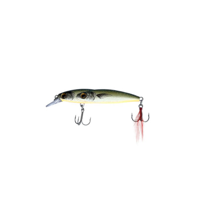 Fishman Ripfin - Olive White