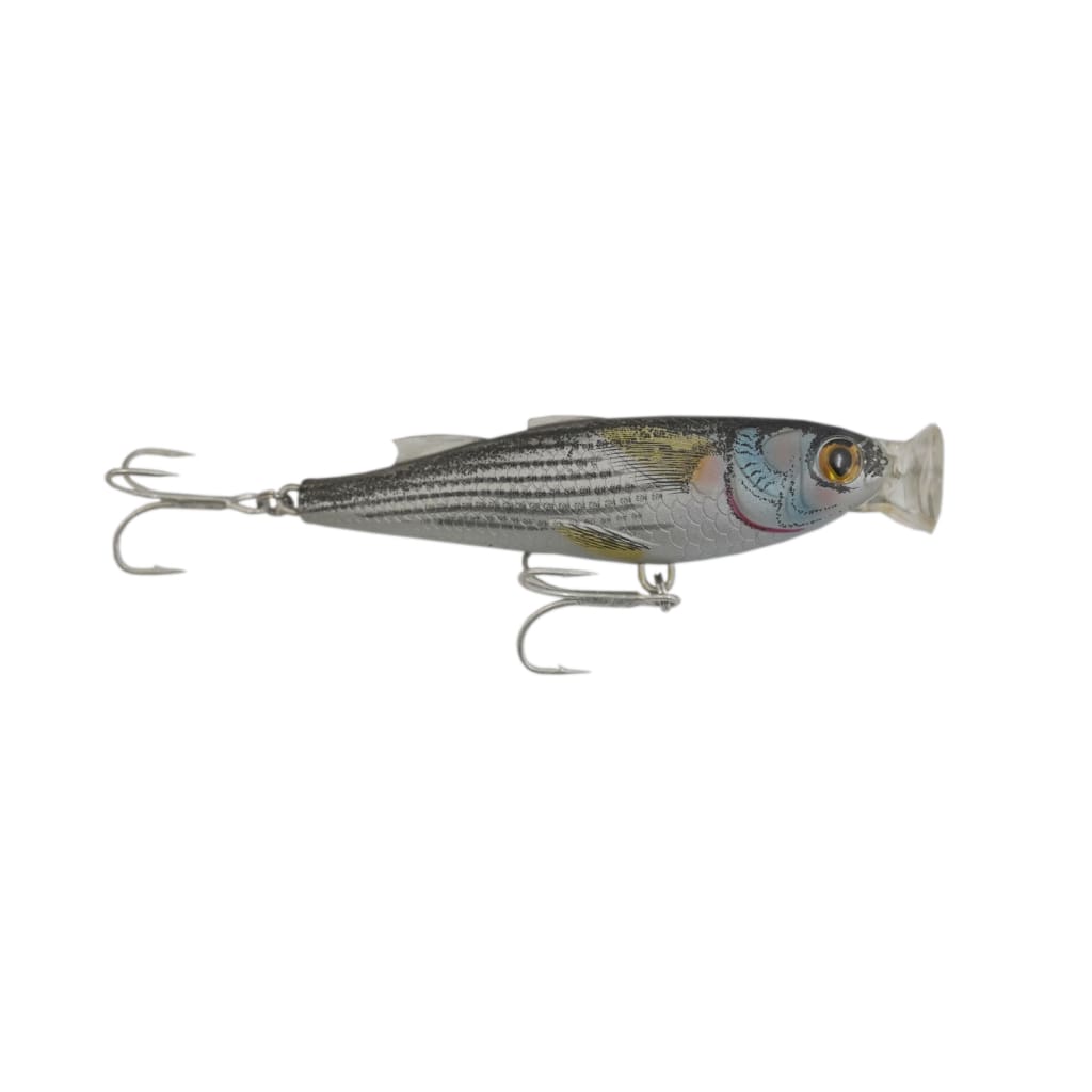 Popper & Plugs Lures (Saltwater) Page 2 - Big Catch Fishing Tackle