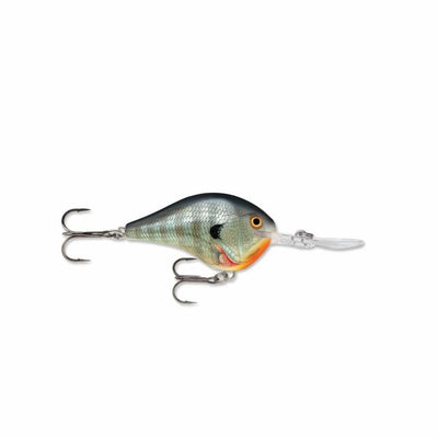 Rapala Dive To Series 6ft - Bluegill - Hard Baits Lures (Freshwater)