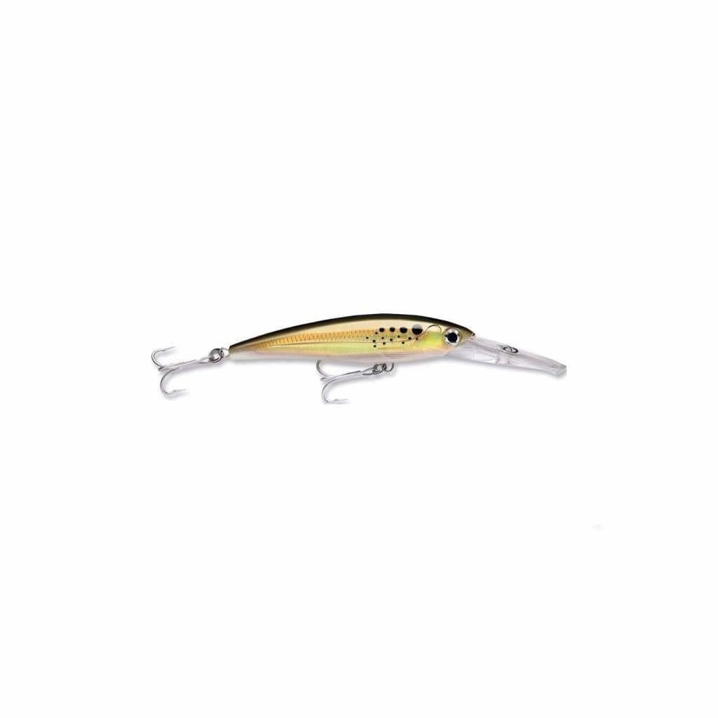 Rapala X-Rap Magnum 15 - Bunker - Hard Baits Lures (Saltwater)