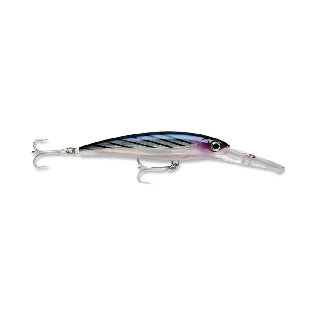 Rapala X-Rap Magnum 20 - Bonito - Hard Baits Lures (Saltwater)