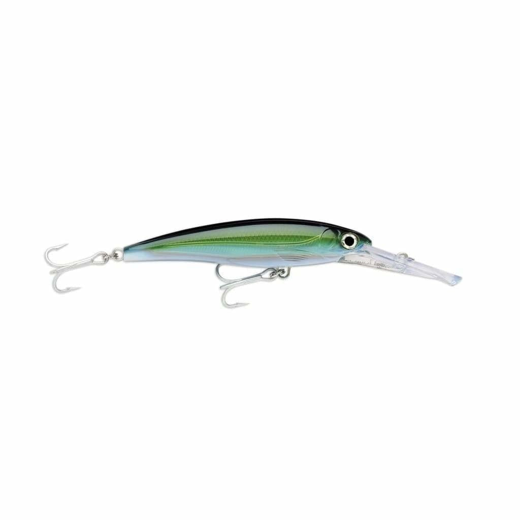 Rapala X-Rap Magnum 20 - Yellowfin Tuna - Hard Baits Lures (Saltwater)