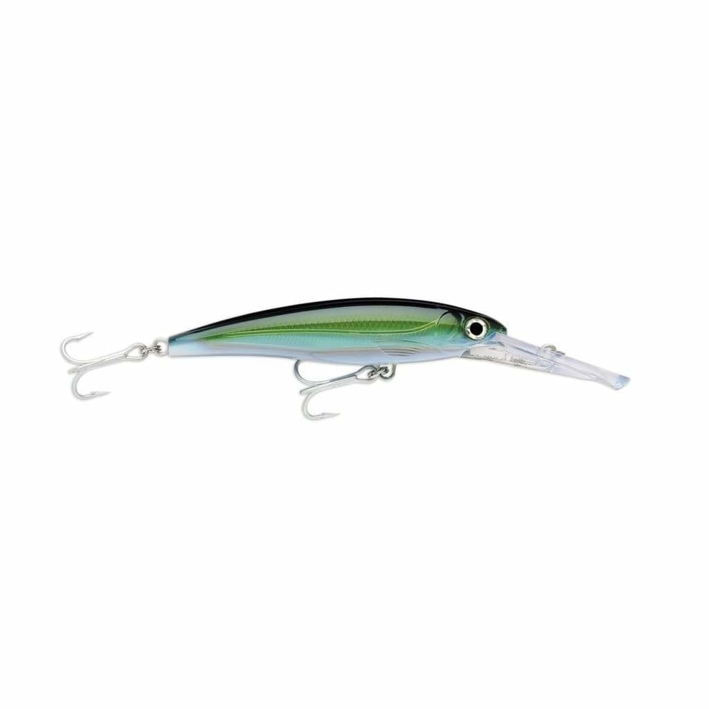 Rapala X-Rap Magnum 40 - Yellowfin Tuna - Hard Baits Lures (Saltwater)