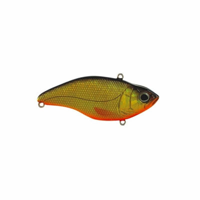 Spro Aruku Shad 60 - Gold Black - Hard Baits Lures (Freshwater)