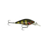 Daiwa Prorex Toddler Crank - Live Perch - Lures (Freshwater)