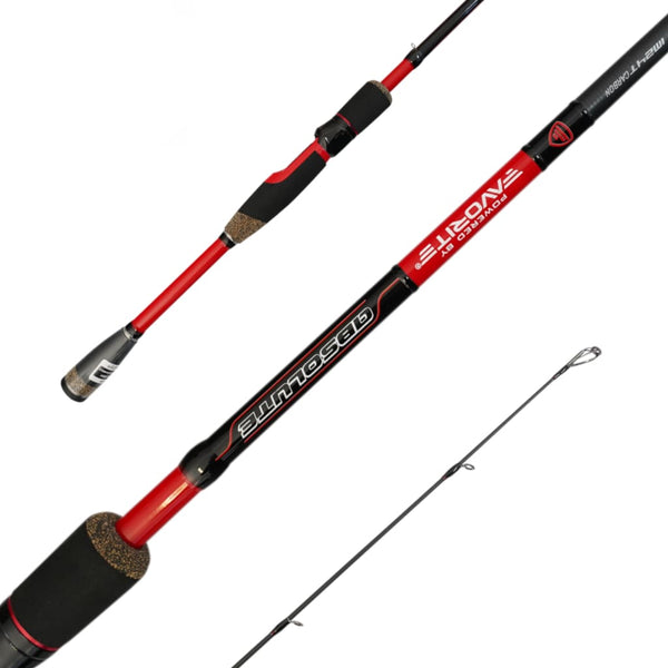Big Catch Fishing Tackle - Favorite Absolute