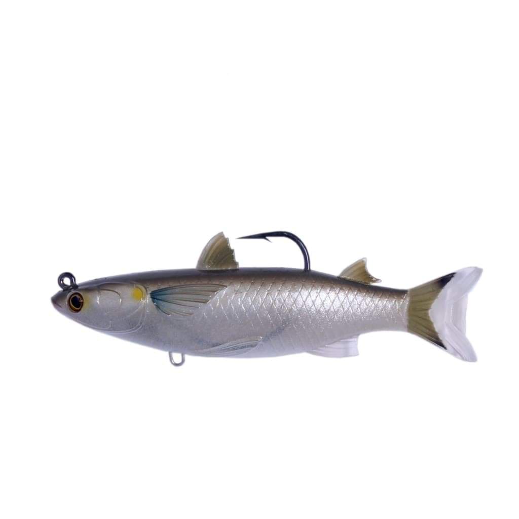 Big Catch Fishing Tackle - Live Target Lure Swimbait