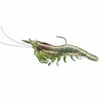 Live Target Rigged Shrimp 3 - Grass - Soft Baits Lures (Saltwater)