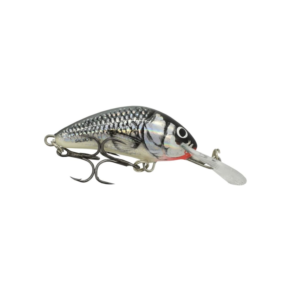 Salmo Hornet Floating 4cm - Holographic Grey Shiner - Hard Baits Lures (Freshwater)