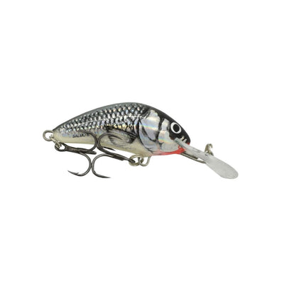 Big Catch Fishing Tackle - Salmo Hornet Floating 4cm