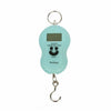 Scale-Digital 50kg - Tools Accessories (Saltwater)
