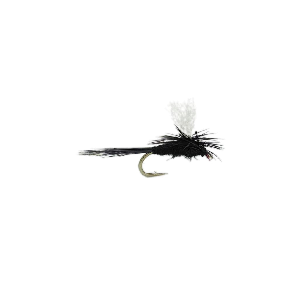 Sci Flies BlackGnat Parachute - Fresh Dries Flies (Fly Fishing)