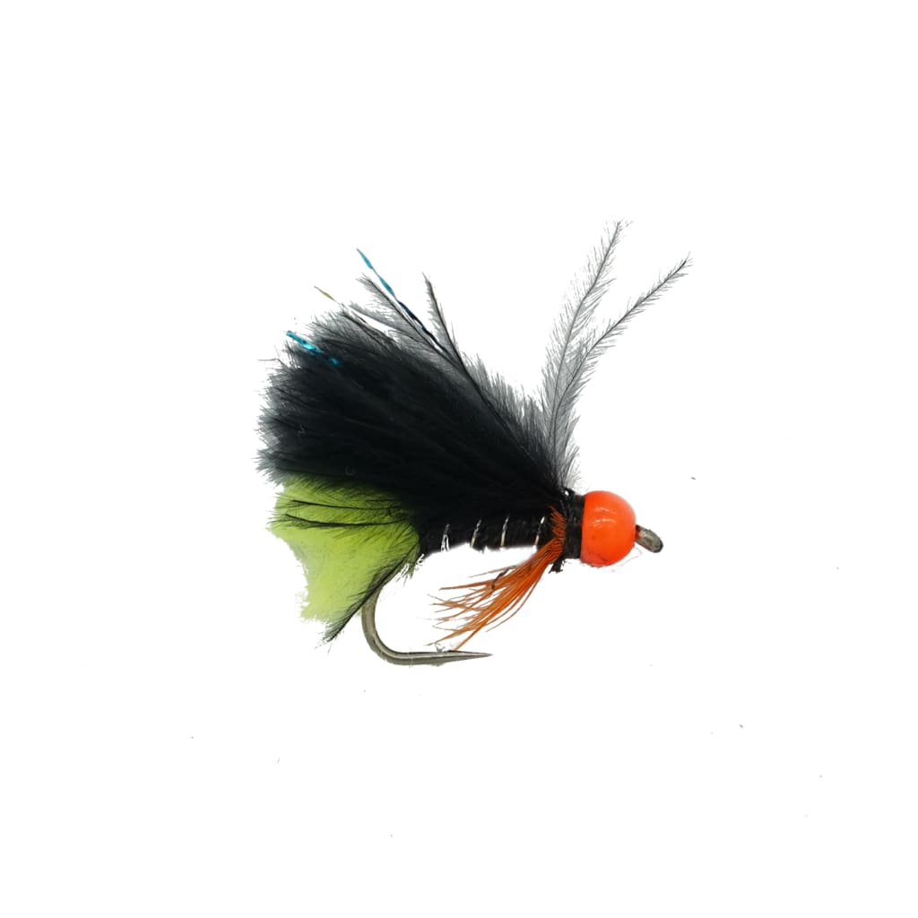 SciFlies Rainbow Warrior