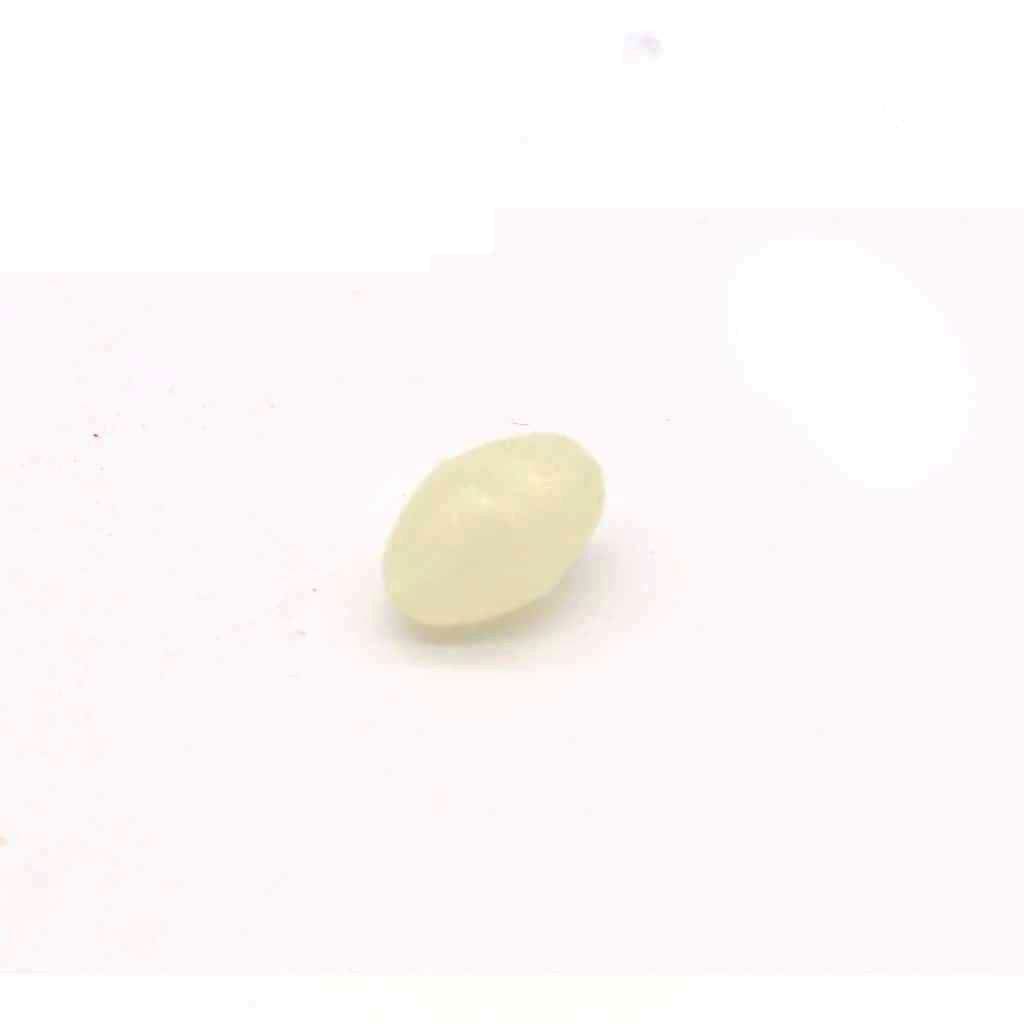 Soft Luminous Beads White - Rigging Terminal Tackle (Saltwater)