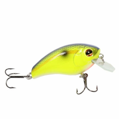 coffin lure fishing Big Catch Fishing Tackle
